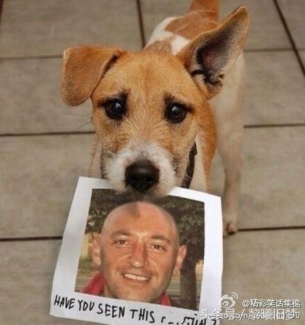 原来动物的世界里也有竞争,动物世界竞争关系