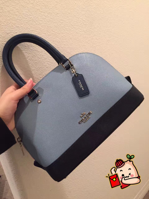 coach蔻驰包包1982,coach蔻驰2024新款包包