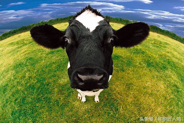 进口奶粉口碑最好的前十名a2 (为什么那么多国家选择进口奶粉)