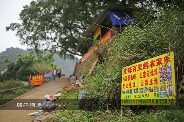居于涟岸隐于湖，到肇庆体验离尘不离城的精致慢生活