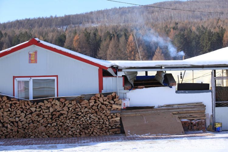 白狐千年等待只为今生相遇,白狼一生只爱一人