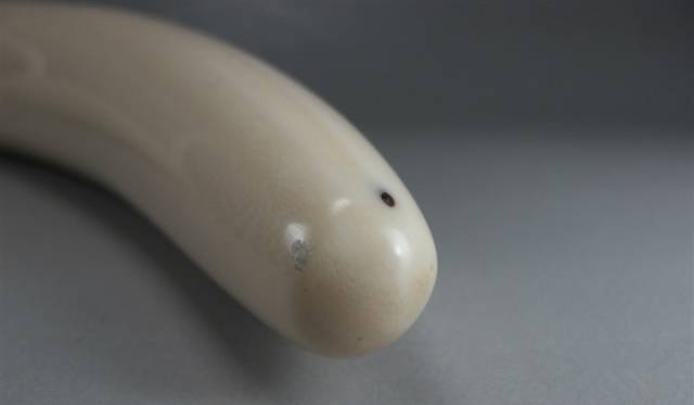 揭露猛犸象牙的仿冒品,真猛犸象牙和人工猛犸象牙图