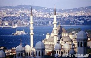 炮制一张世界威化地图，我要去7国品威化饼干