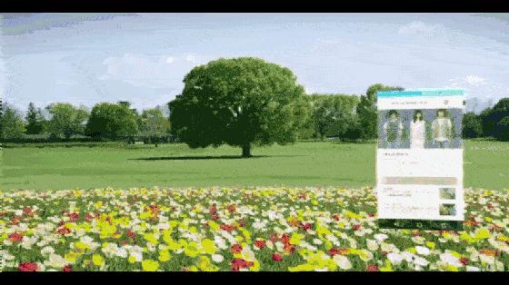 涓嶇敤鏃呰璁よ瘉鐨勫厤绋庡簵 (鏃犻渶绂诲矝楠岃瘉鐨勫厤绋庡簵)