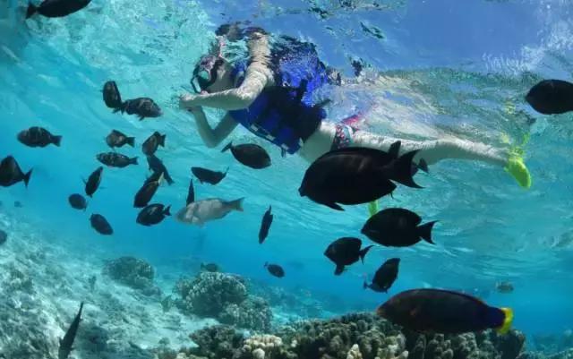 塞班岛新年自由行,塞班出国旅游攻略