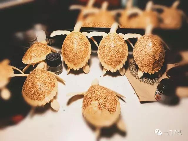 动物模型龟类,乌龟哪个模型好看