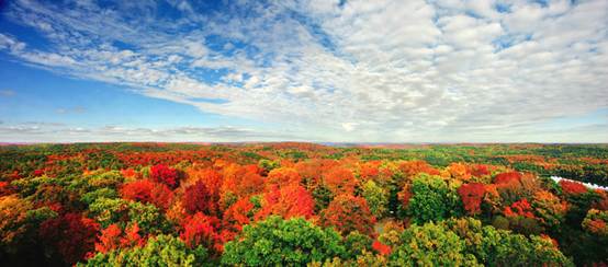 途牛一季度全球旅游,2021年度最佳旅游目的地奖