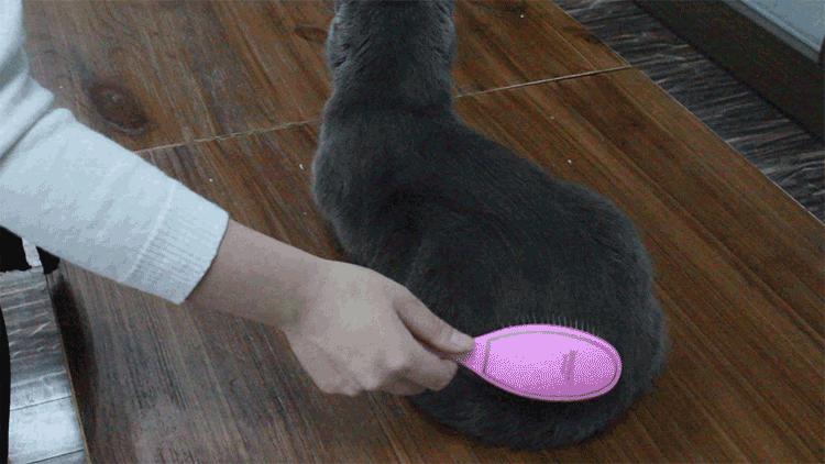 宠物除毛梳,宠物除毛神器哪个好用