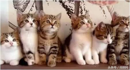 钢材销售员的一天，简直太形象了！笑喷……