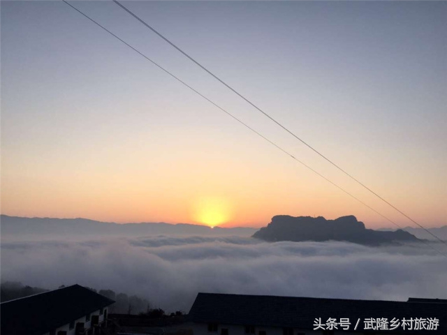 重庆武隆羊角油菜花,三月油菜花风景