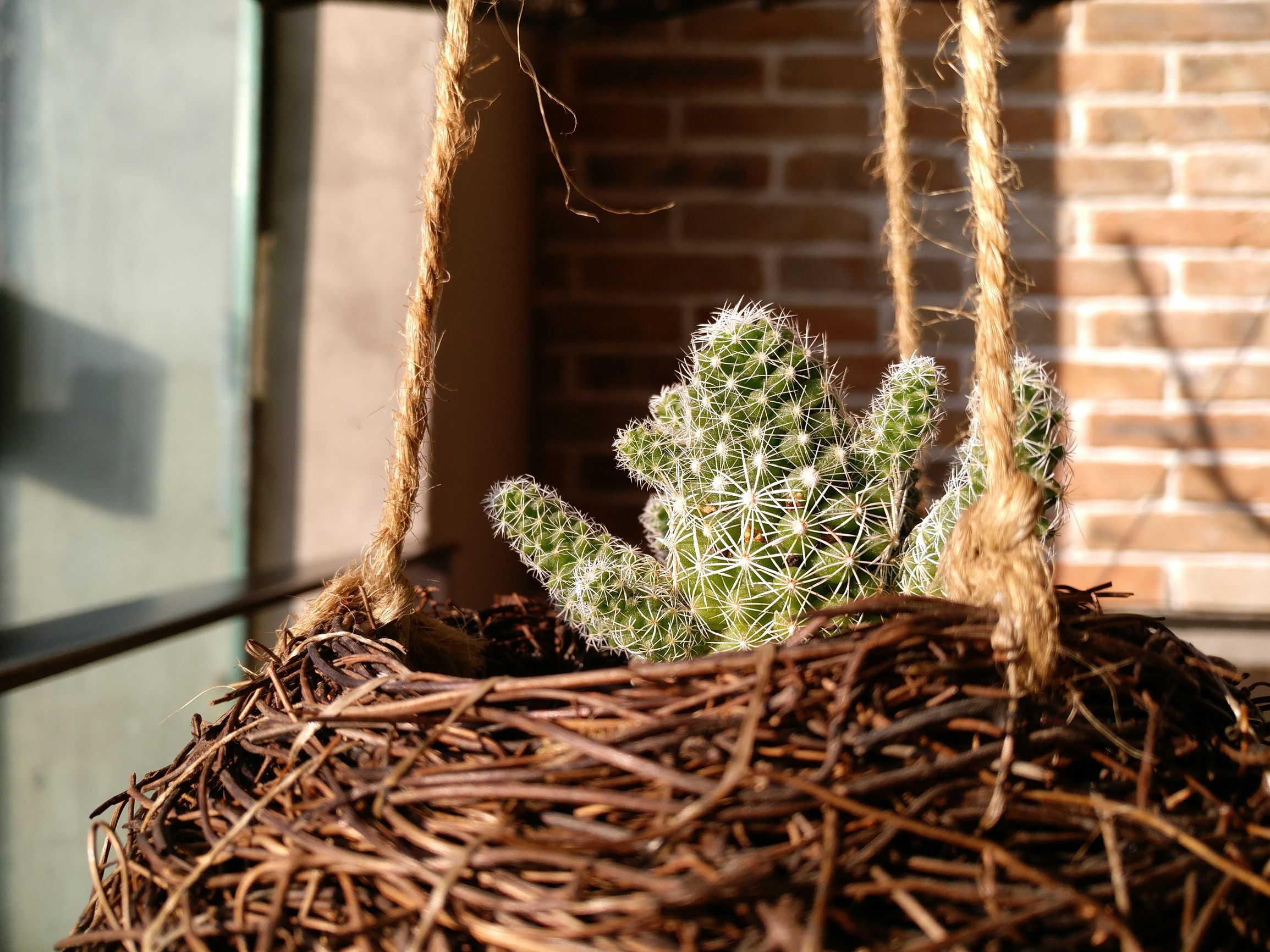 酷派s1怎么样,酷派改变者s1发布会回顾