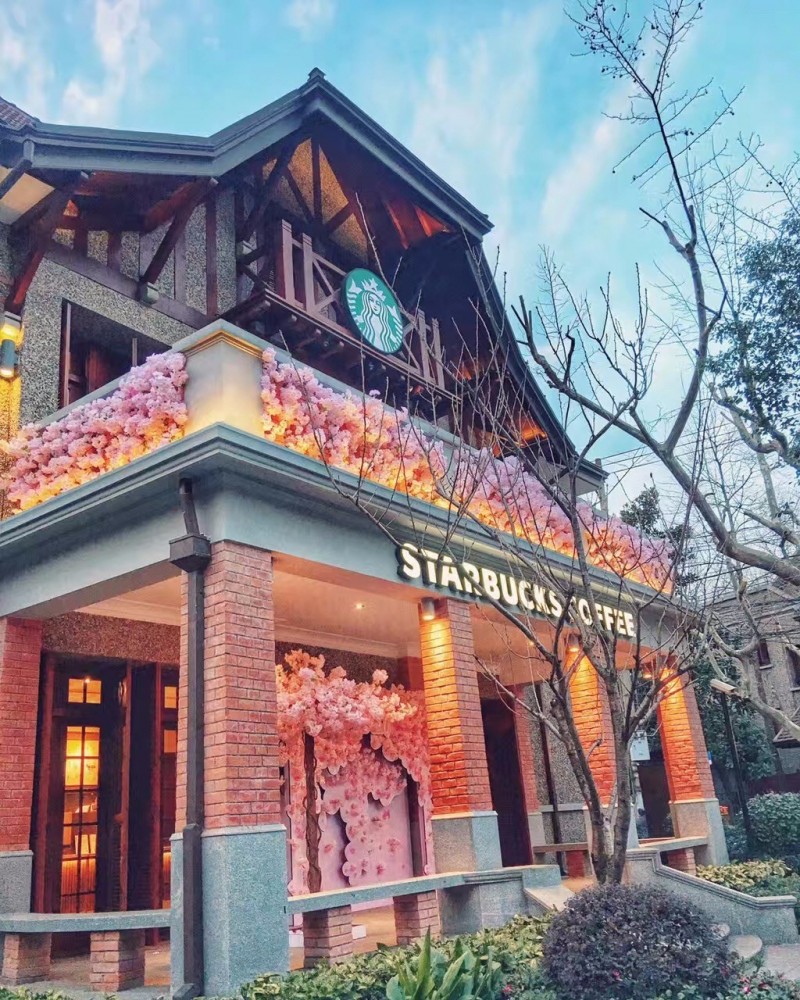 星巴克樱花官方,2022年星巴克樱花新品