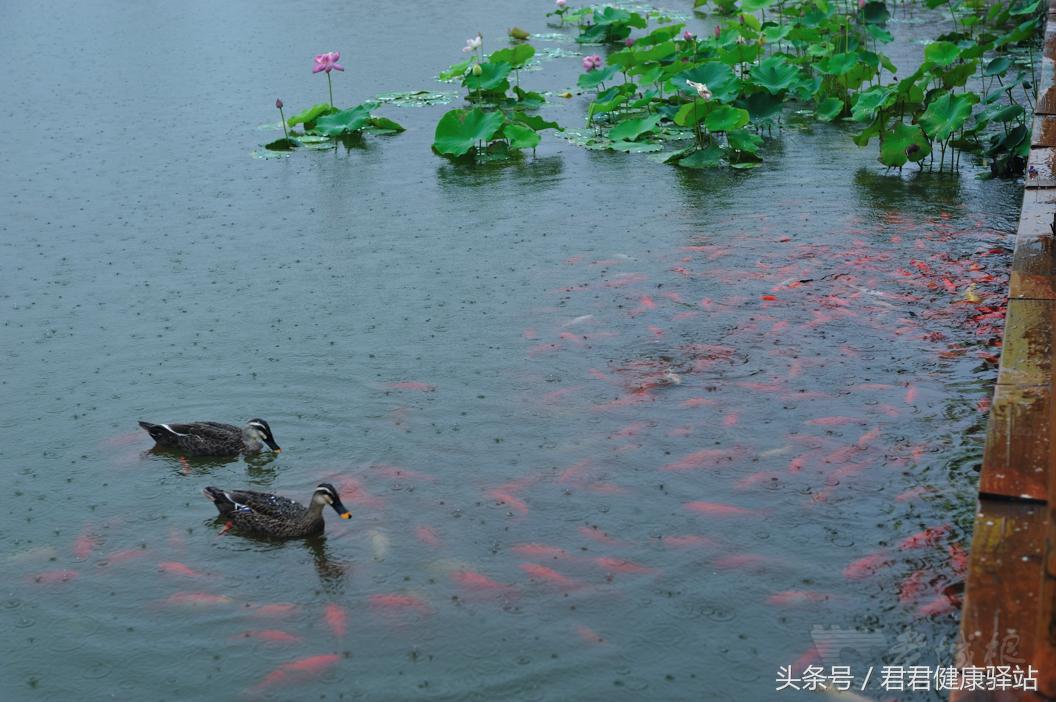 冷水洗头对身体有什么伤害？