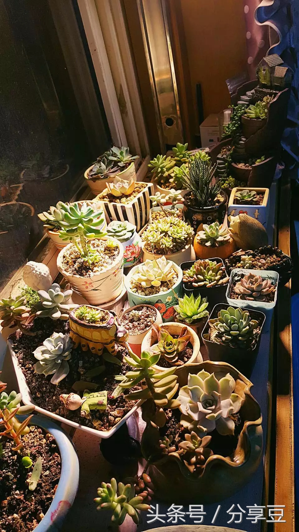 哪类东西你非收集不可？看了网友晒出的收集癖好，我惊呆了