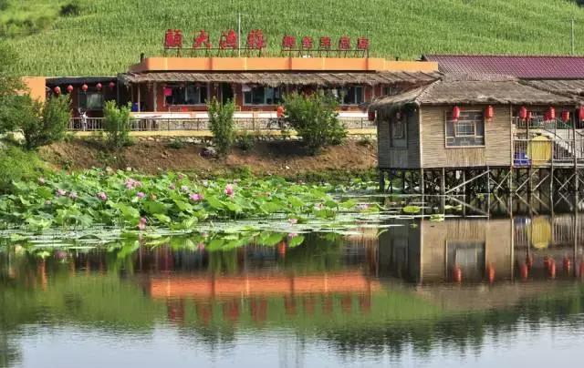 辽源最近有什么大新闻,辽源市最新严查