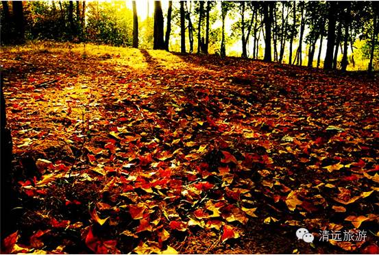 其实，你早就遇见：清远，离广州最近的一座城！