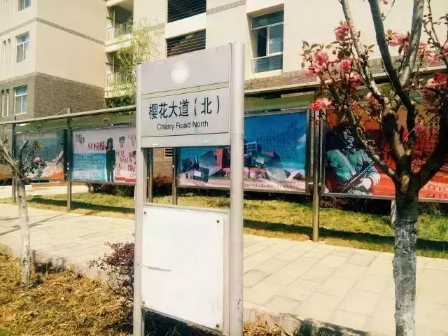 我在昆明理工大学，我为昆工骄傲