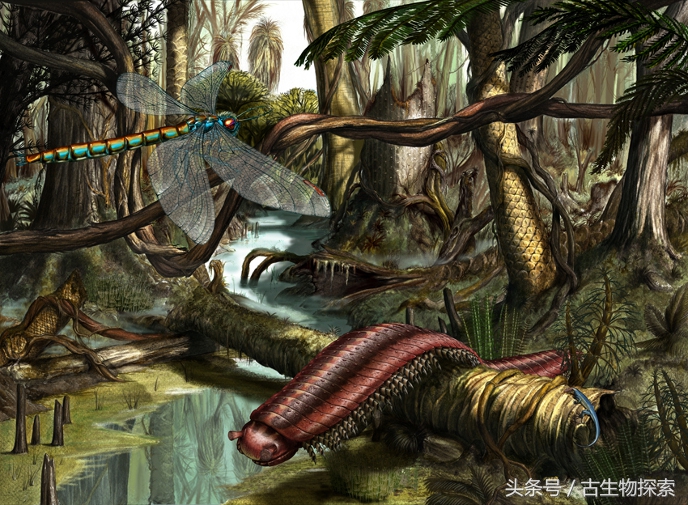 史前蜈蚣大战巨脉蜻蜓,史前蜈蚣体长可达3米