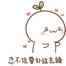 狮王品牌大全,狮王排行20名