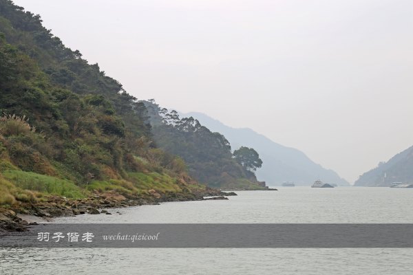 居于涟岸隐于湖,到肇庆体验离尘不离城的精致慢生活