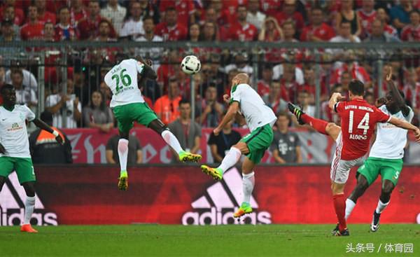 晴空专栏小说,晴空专栏马奎尔