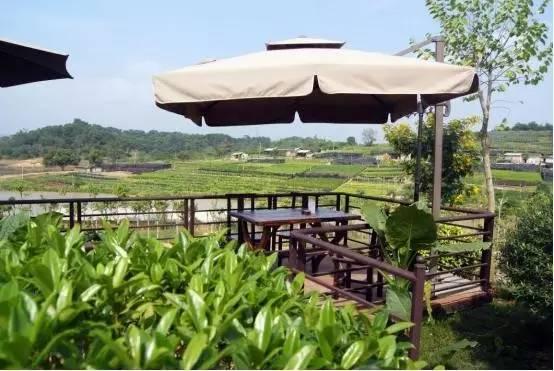 南宁顶级奢野庄园,南宁松果野奢营地