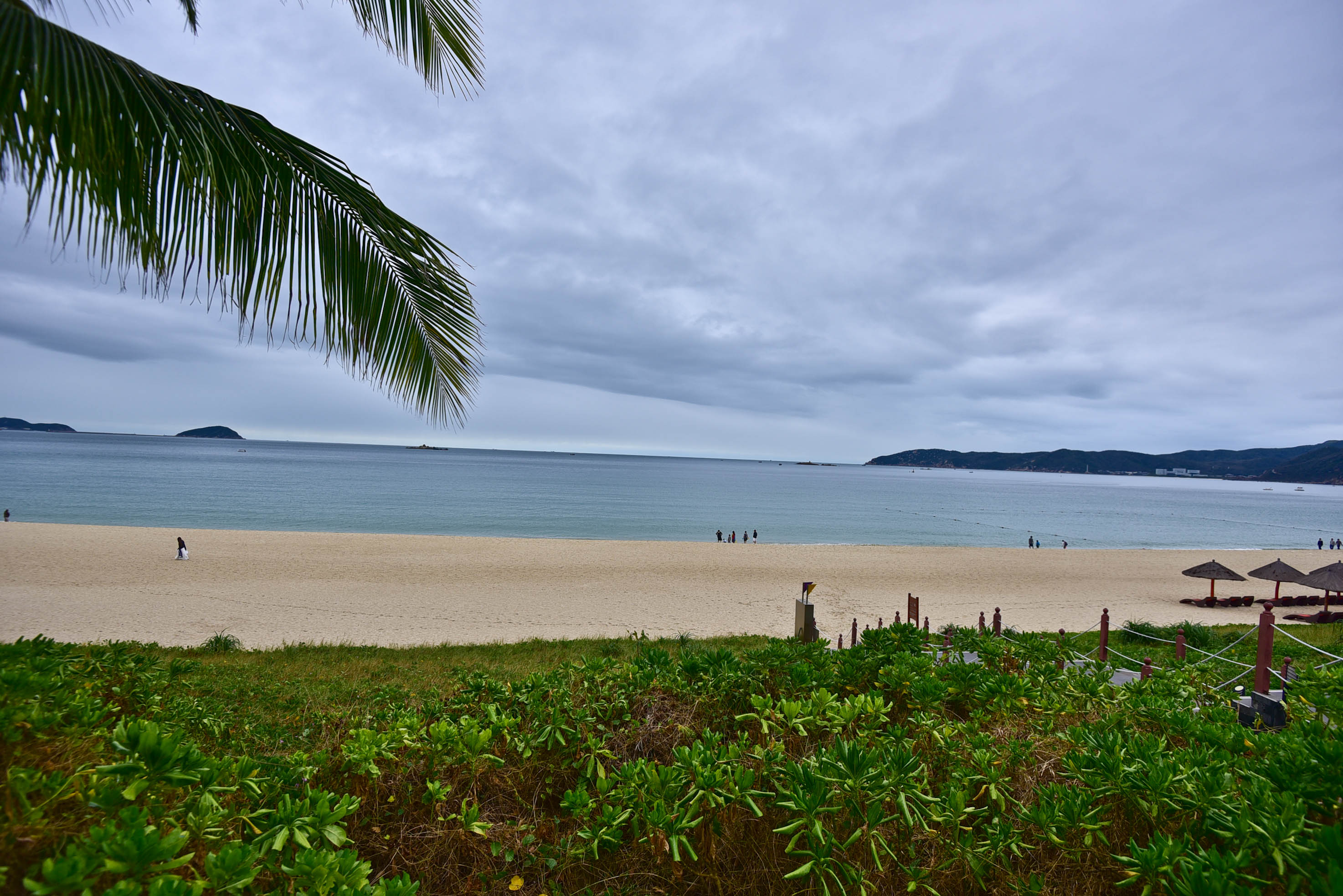 那片天空那片海这里的美人鱼不会游泳