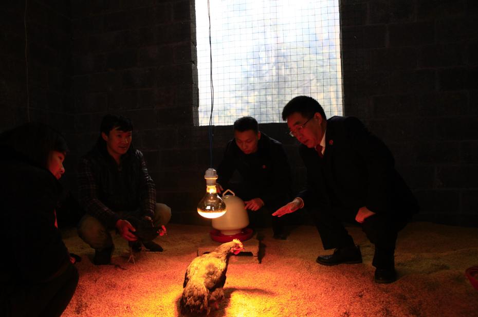 扶贫日记壮语,扶贫日记33集