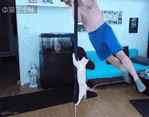 十条笑话:老师从后门窜进来,对我说了句;没收!