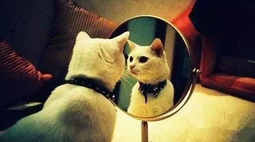 优衣库新品试衣间,优衣库早春试衣间