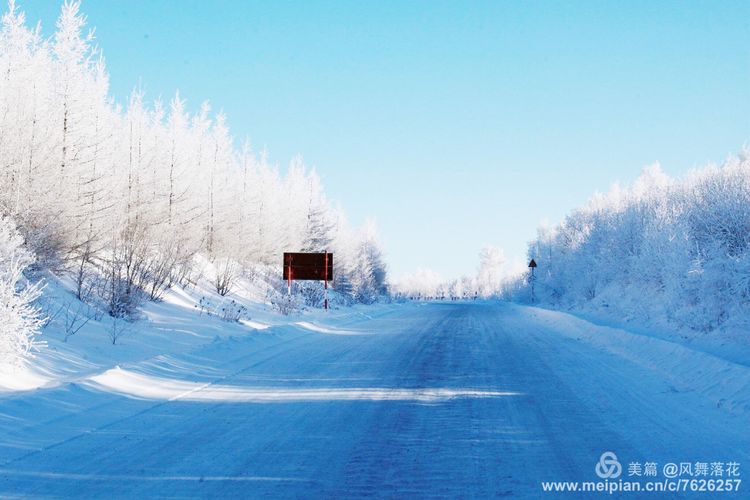 白狐千年等待只为今生相遇,白狼一生只爱一人