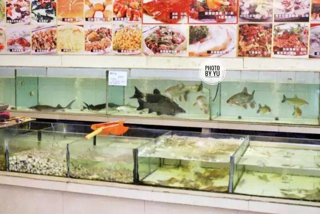 就是这个“肥坚”，十七年的默默坚守，用手工邕菜安慰老南宁的魂