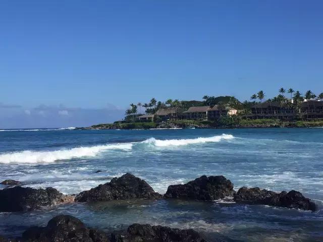 夏威夷毛伊岛旅行记 (毛伊岛旅游必做的100件事)