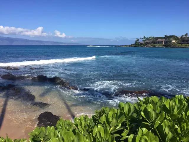 夏威夷毛伊岛旅行记 (毛伊岛旅游必做的100件事)