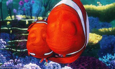 养锦鲤常见病的预防和处理,养锦鲤鱼常有的病怎么预防