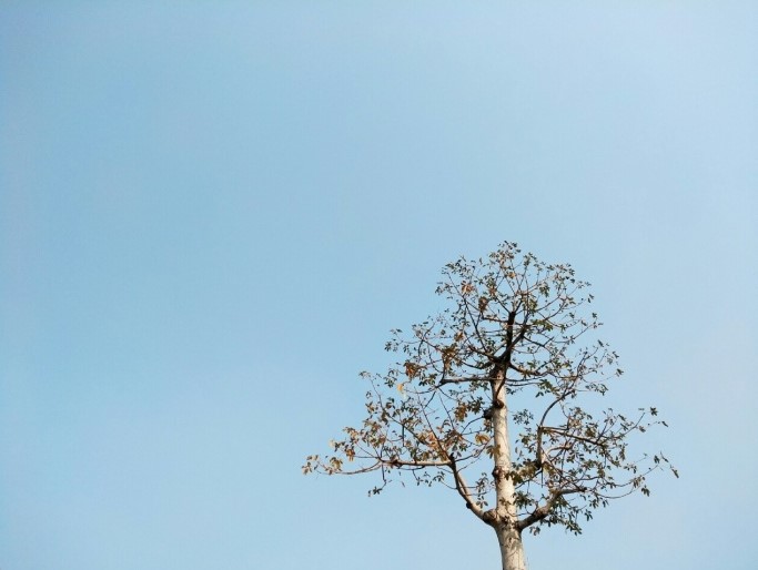 6GB大有可畏360手机N5一周用户体验报告：畅快！