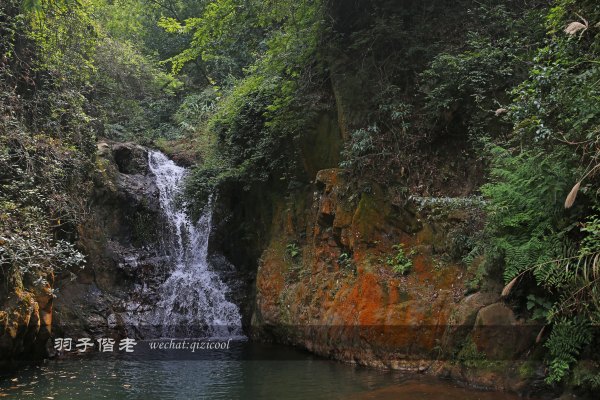 居于涟岸隐于湖，到肇庆体验离尘不离城的精致慢生活