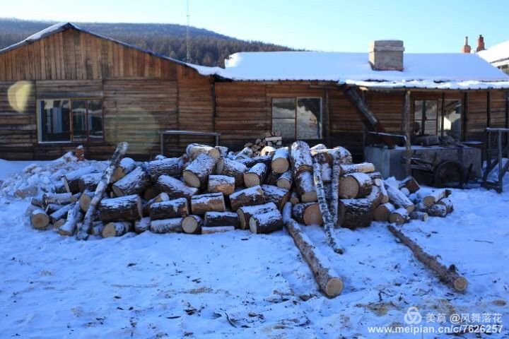 白狐千年等待只为今生相遇,白狼一生只爱一人