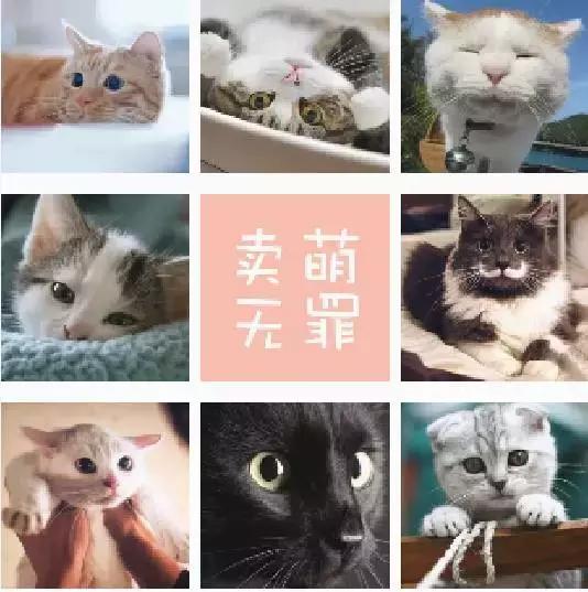 二战中的同济大学,二战上海是怎么样胜利的