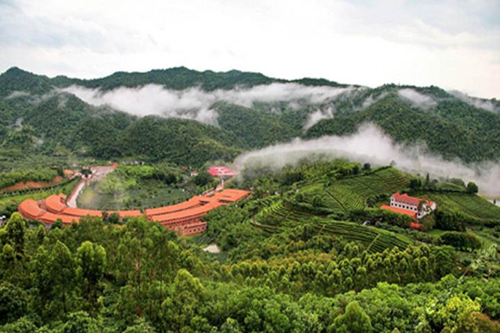 梅州有什么特别的地方,梅州哪个县比较好