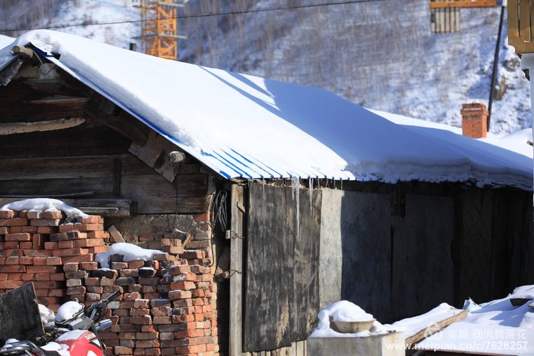 白狐千年等待只为今生相遇,白狼一生只爱一人