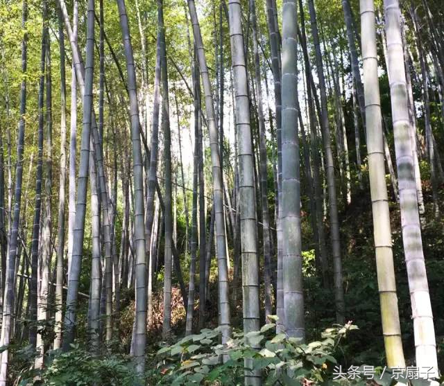 手工扇加工,古扇制作折扇