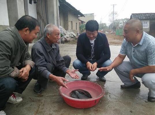 钓鱼又空军了,钓鱼钓了一天又空军了