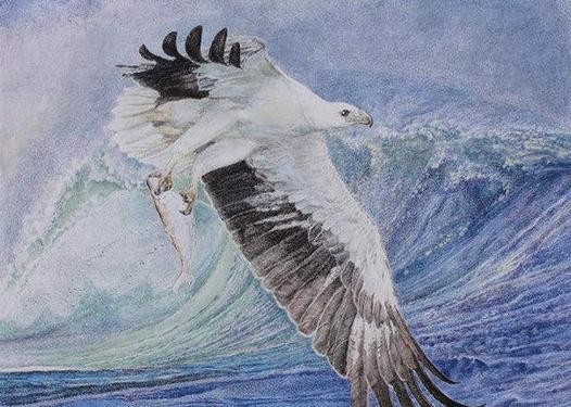 自知无知才会求知,求知学习的四大境界