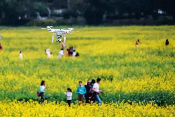 用VR看花海是种怎样的体验？这周就去免费看~