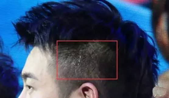 三生三世主演都有谁,三生三世十大主演