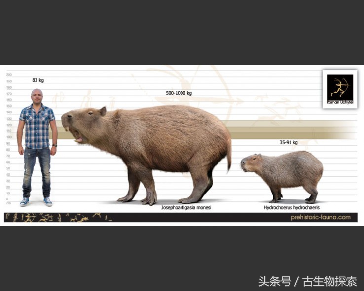 历史上几百万年前南美洲巨鼠,史前生物巨鼠