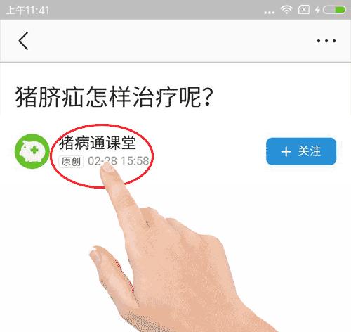 母猪蹄壳发脓怎么治,母猪后蹄起大脓疱