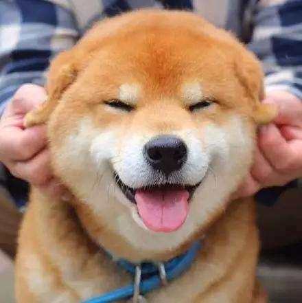 有没有躺着就能赚钱的工作,在家躺着就能赚钱的办法