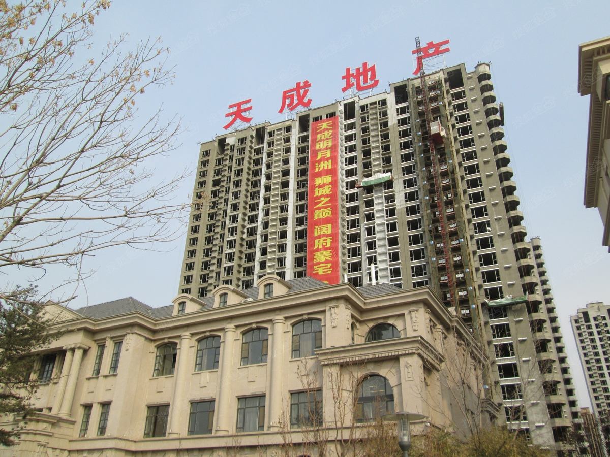 天成明月洲想说爱你不容易相信你能做得更好